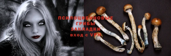 гидропоника Абаза
