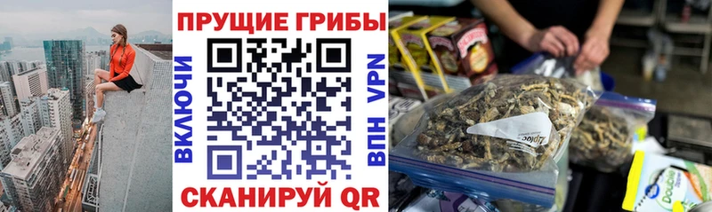 Галлюциногенные грибы ЛСД наркошоп Ржев