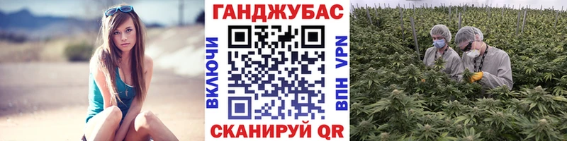 Бошки Шишки Bruce Banner  Ржев 